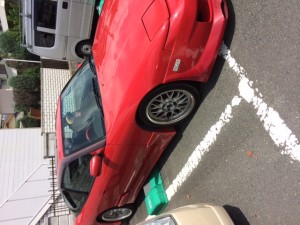 securedoggggggwnload