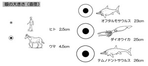 20150115o0548024710846227639