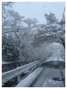 Processed with Moldiv