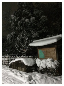 Processed with Moldiv