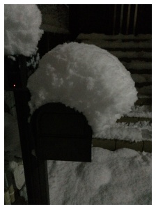 Processed with Moldiv