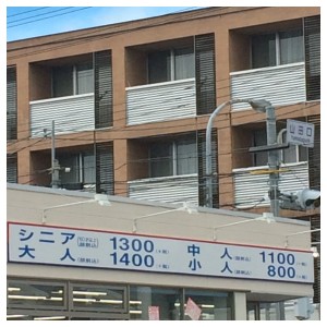 Processed with Moldiv