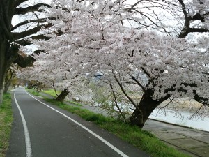 20150404IMG_20150403_074304