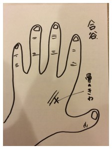 Processed with Moldiv