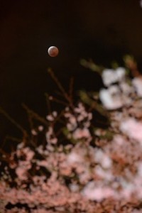 2015040９k0000m040089000p_size7