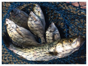 Processed with Moldiv