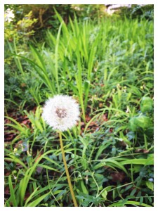 Processed with Moldiv