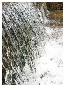 Processed with Moldiv