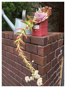 Processed with Moldiv