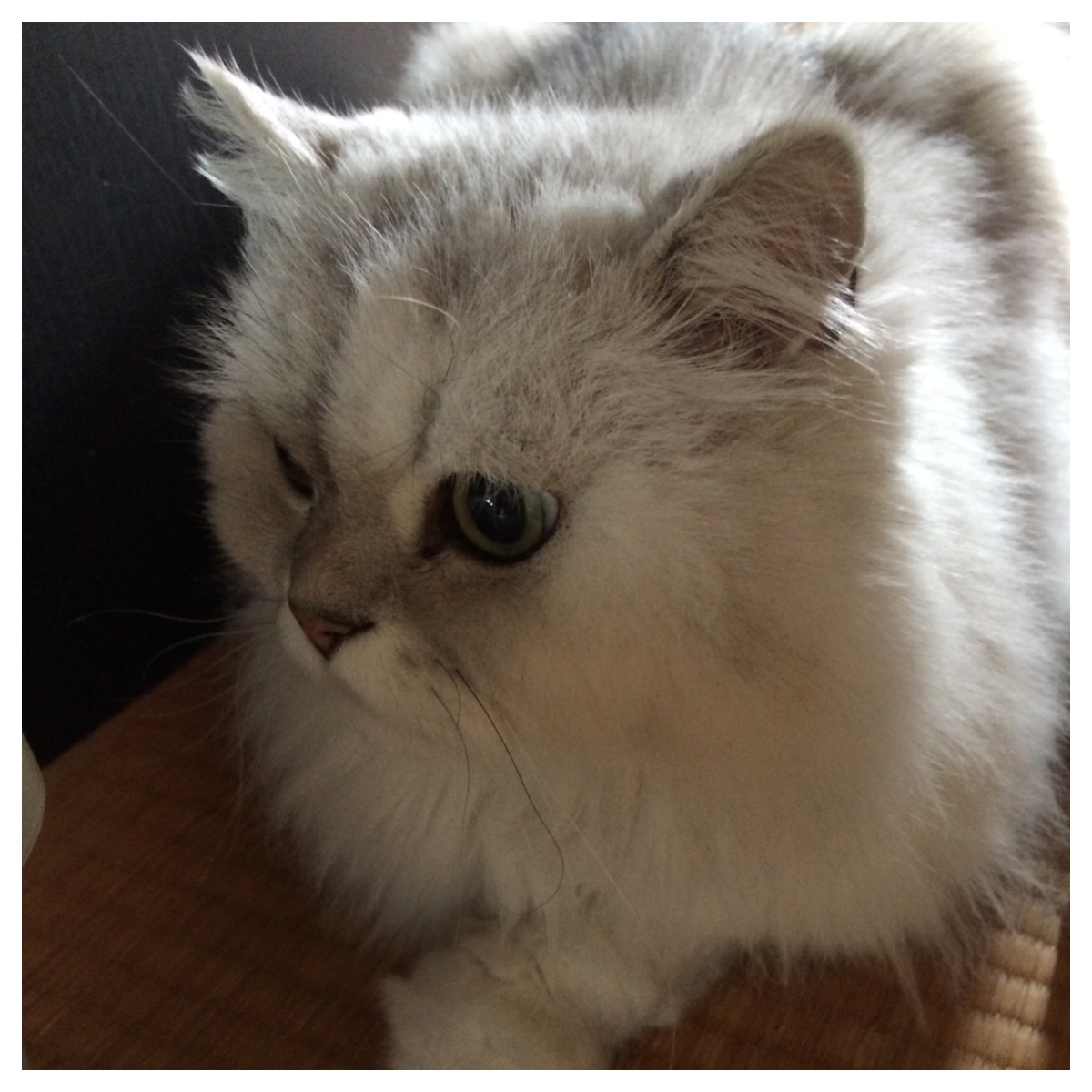 Processed with Moldiv