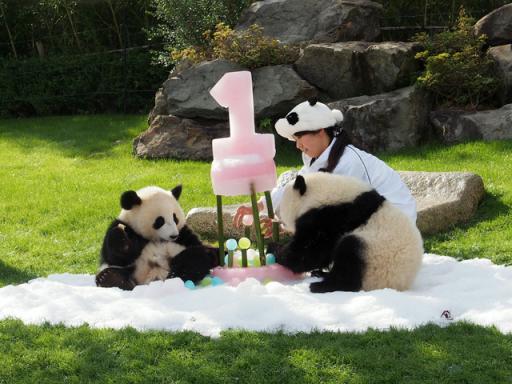 AS20151203001438_comm