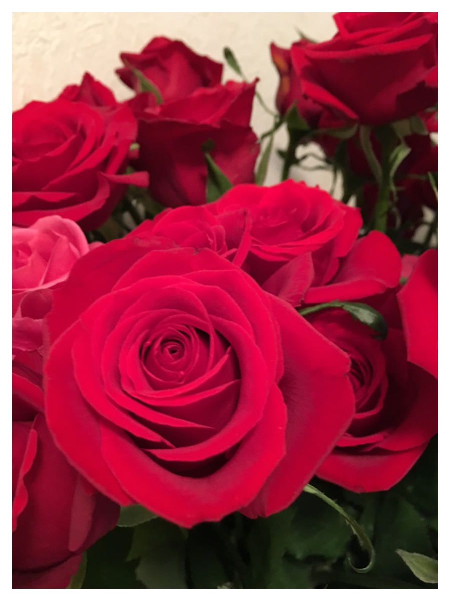 Processed with MOLDIV