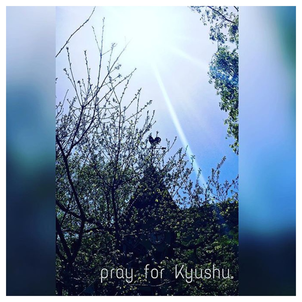 Processed with MOLDIV