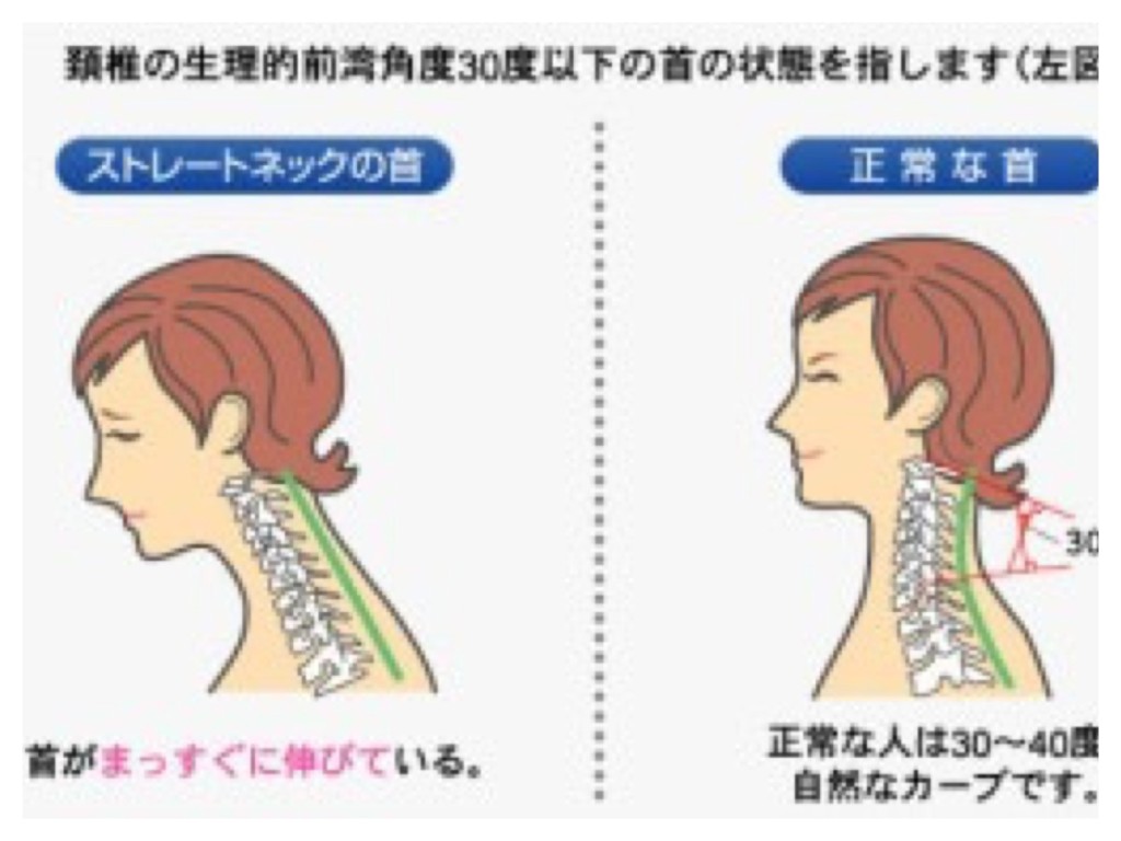 Processed with MOLDIV