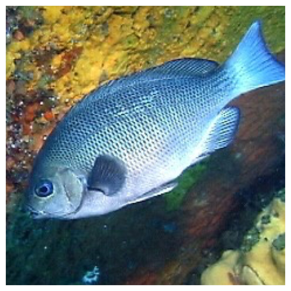 Processed with MOLDIV