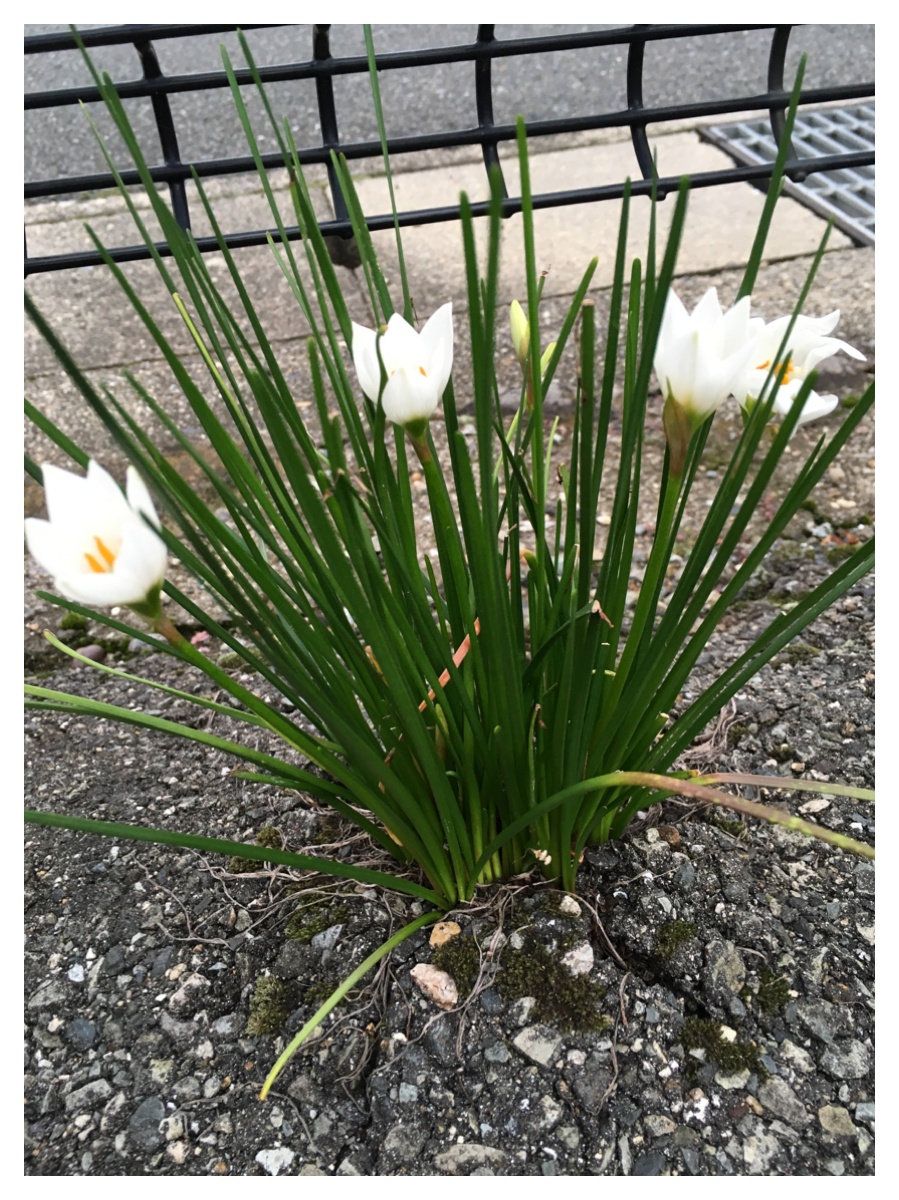 Processed with MOLDIV