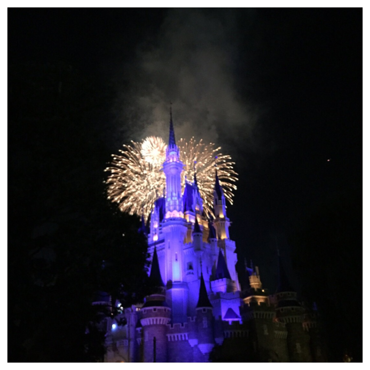 Processed with MOLDIV