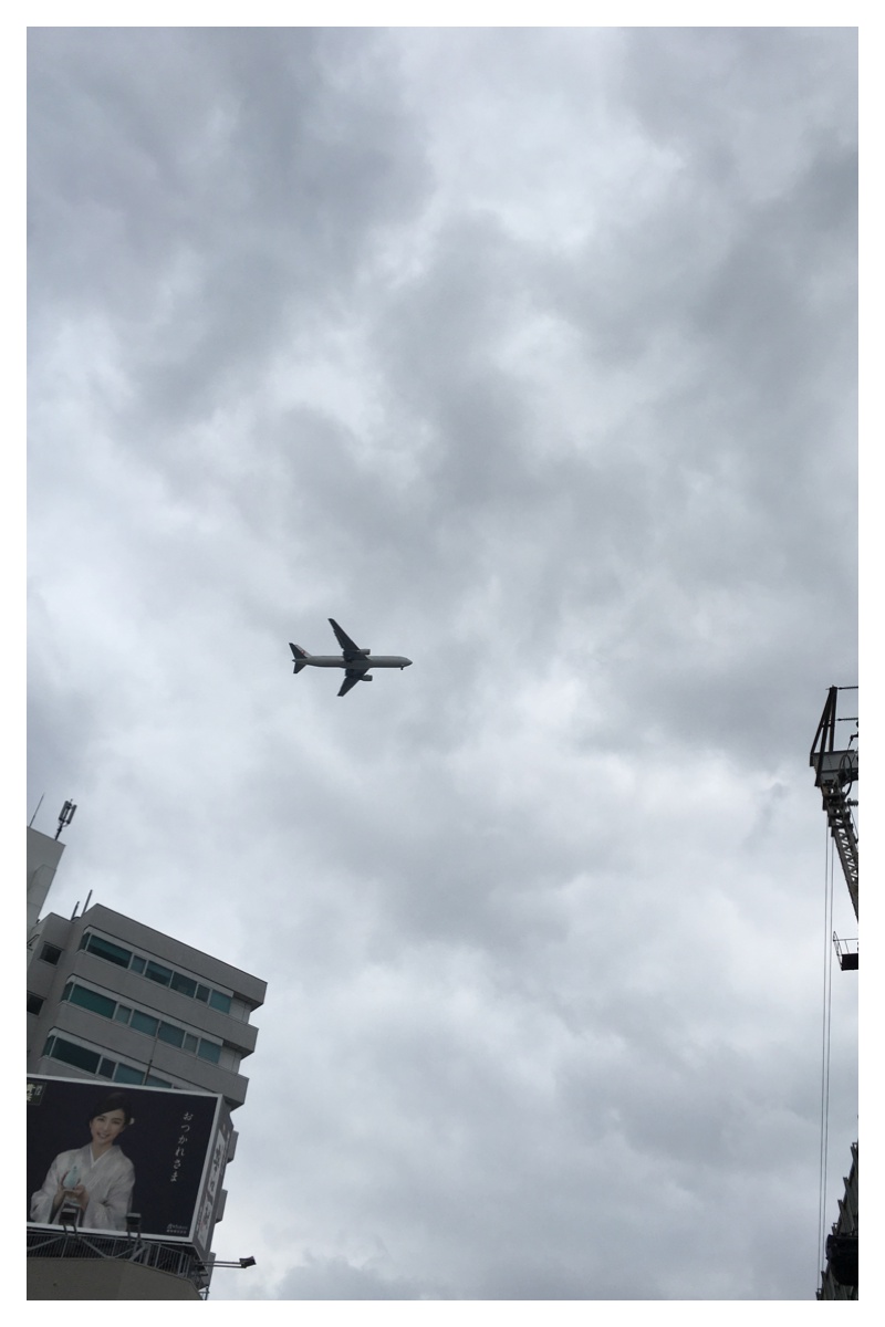 Processed with MOLDIV