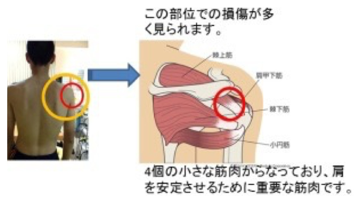 Processed with MOLDIV