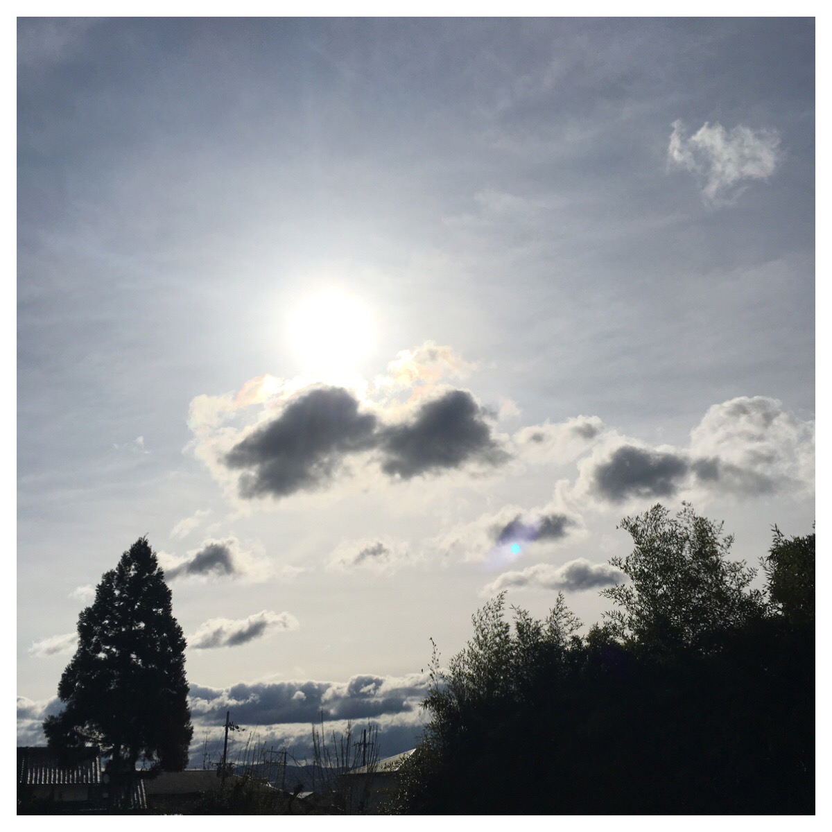 Processed with MOLDIV