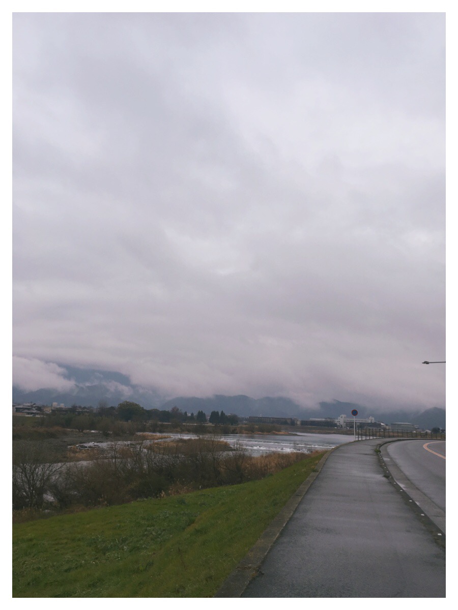 Processed with MOLDIV