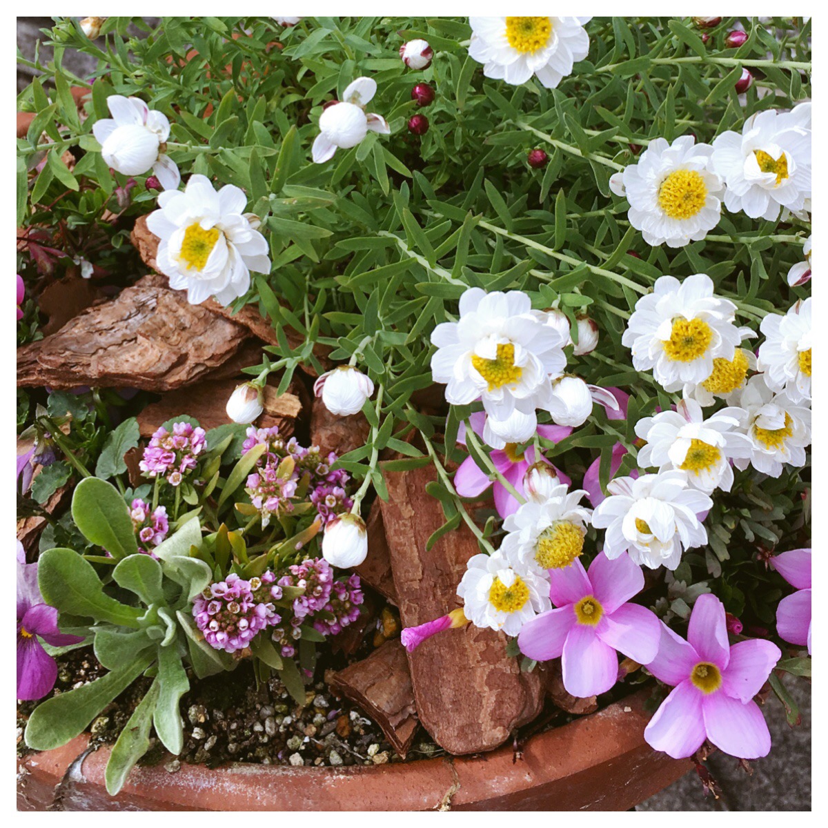 Processed with MOLDIV