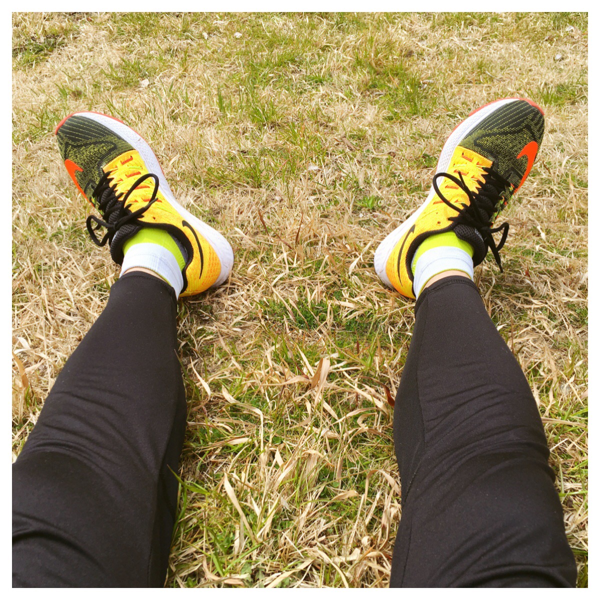 Processed with MOLDIV