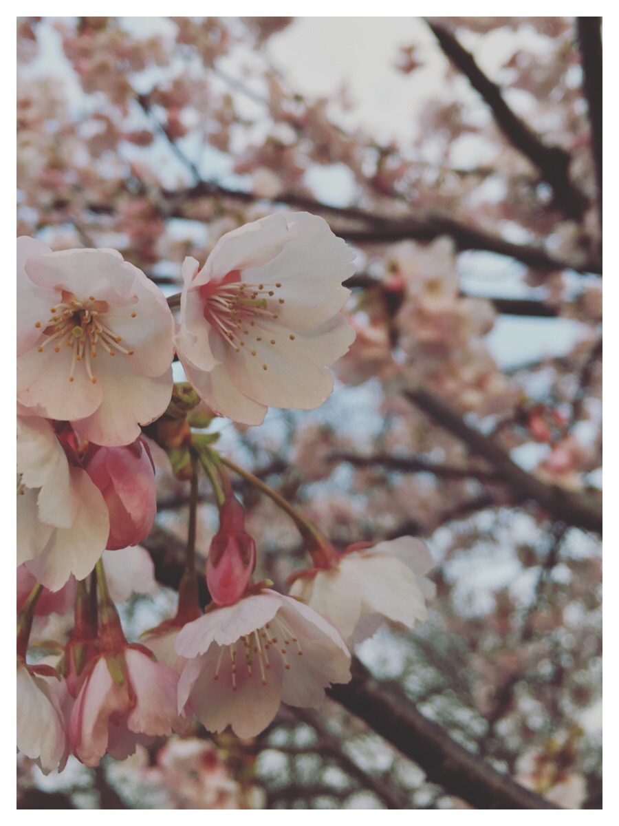 Processed with MOLDIV