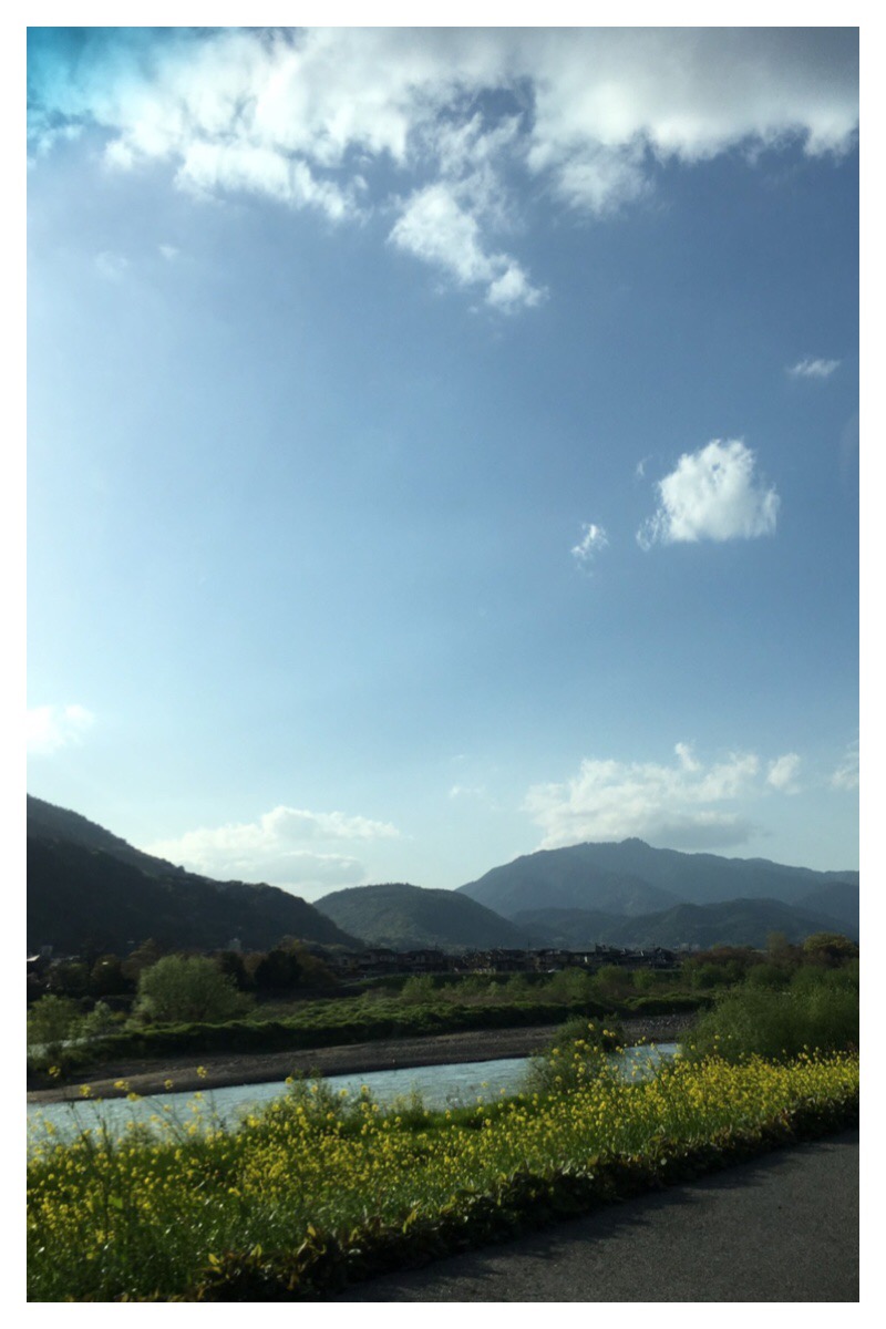 Processed with MOLDIV