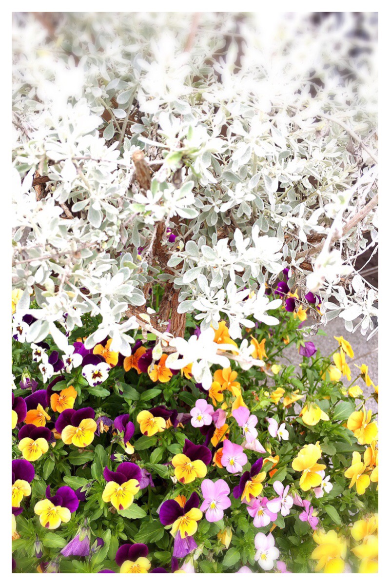 Processed with MOLDIV