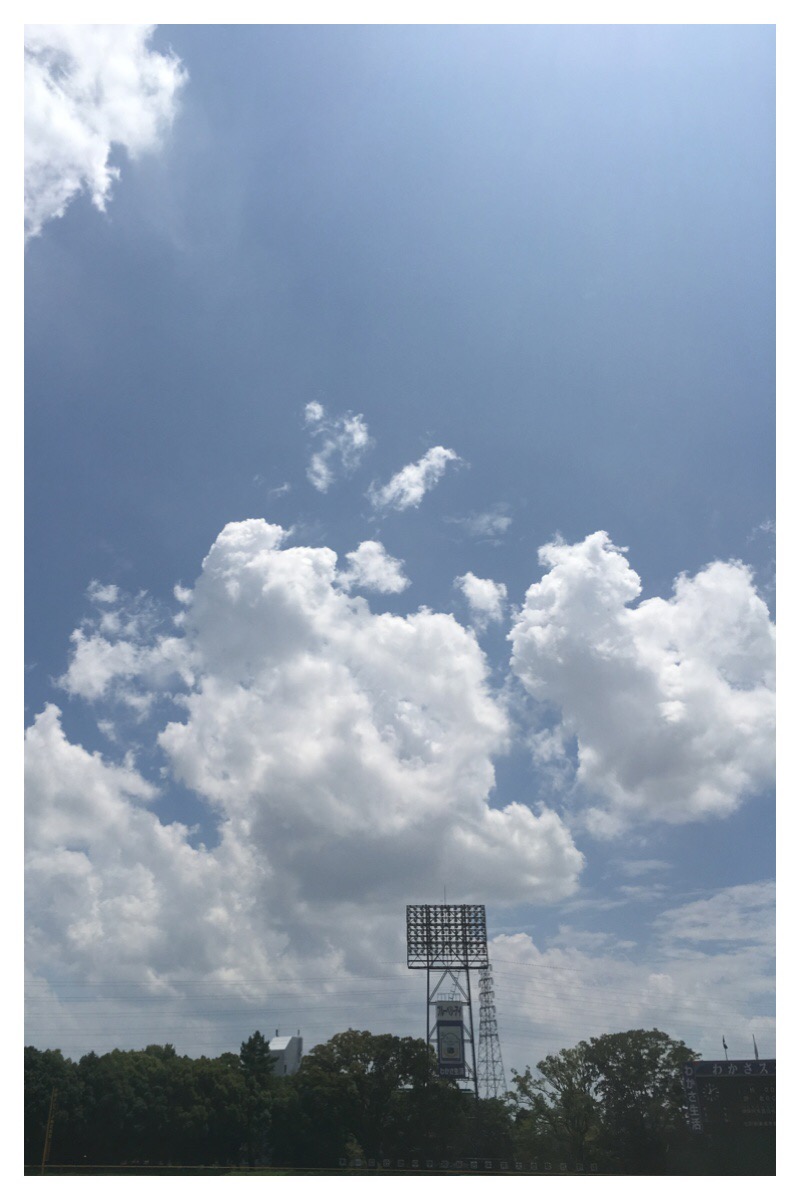 Processed with MOLDIV